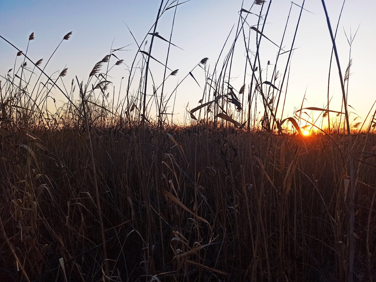Счастье - это радость, которую нужно трепетно хранить и баловать любовью.