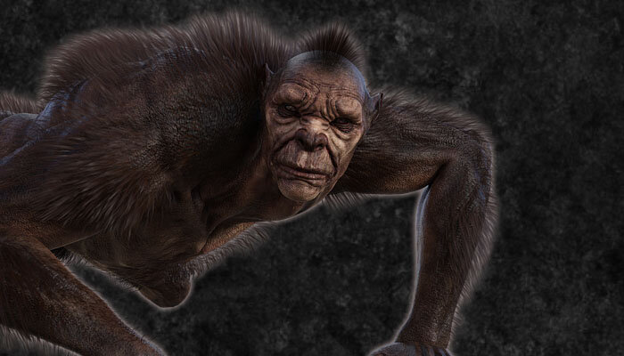 Взято с Яндекс.Картинок