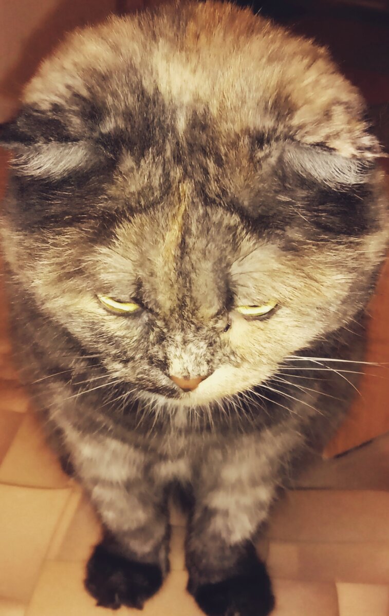 Ну поиграй со мной