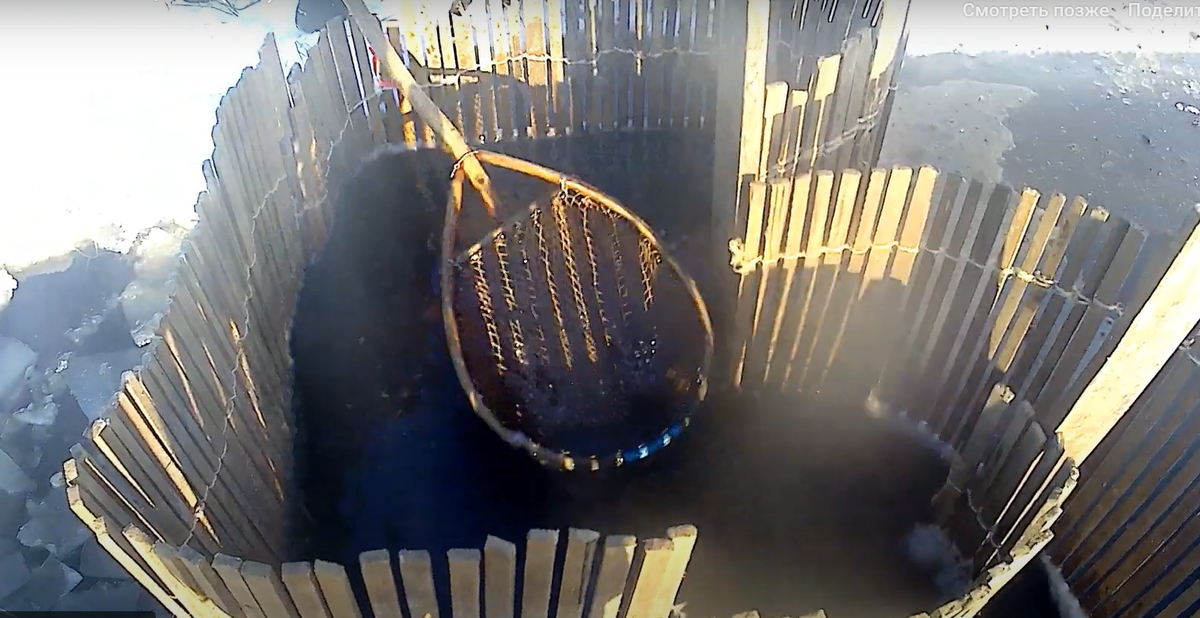 Такие катцы стояли вдоль берега озера