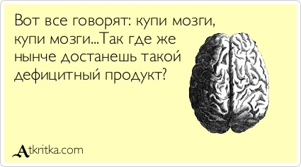 Ученые назвали самые опасные продукты для головного мозга3