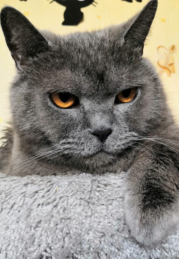 любимое гнездо