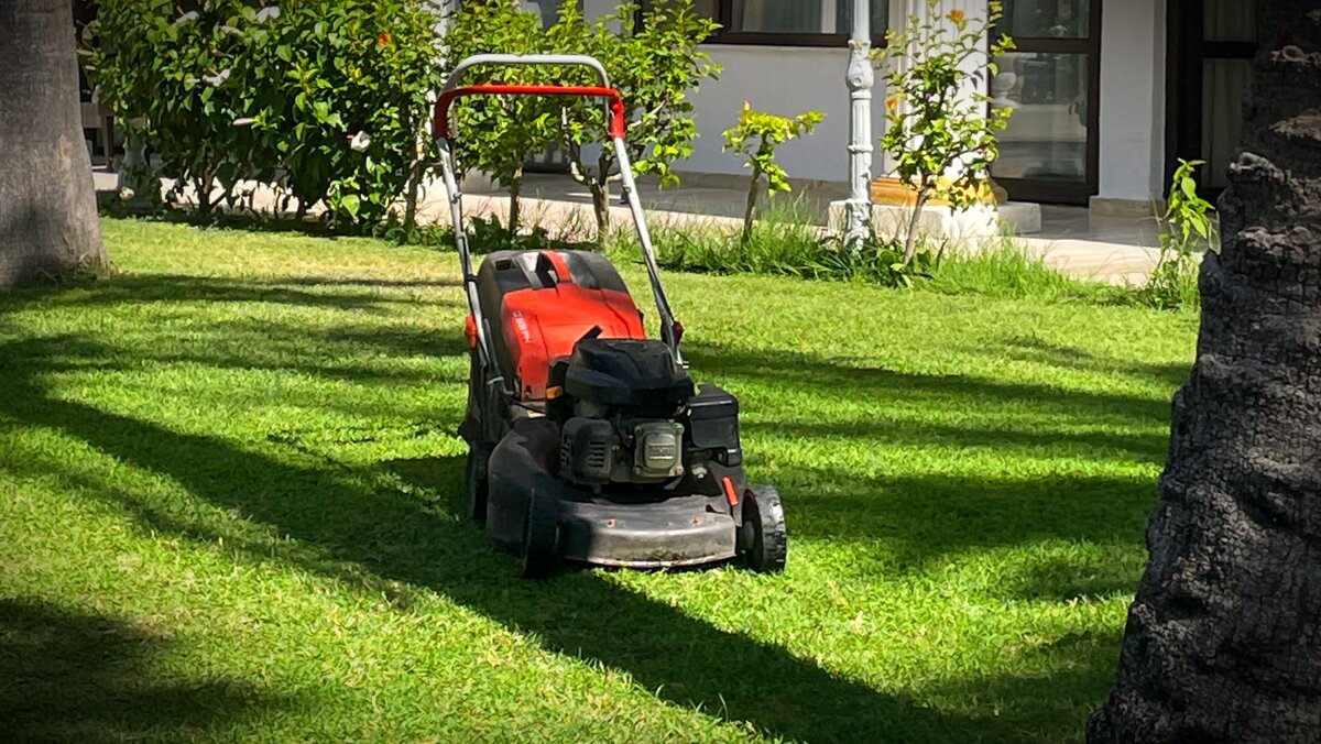 какой подарок выбрать садоводу