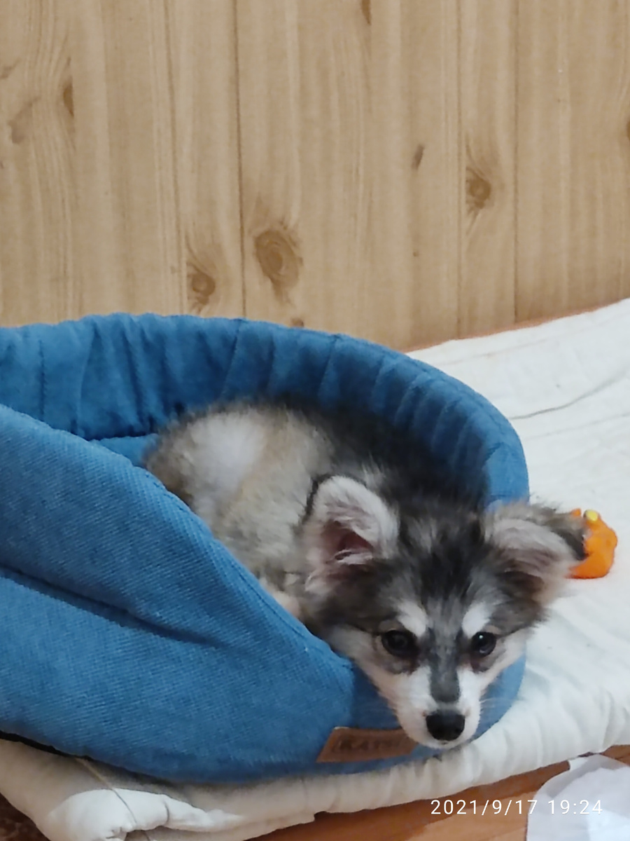 Фото из личного архива