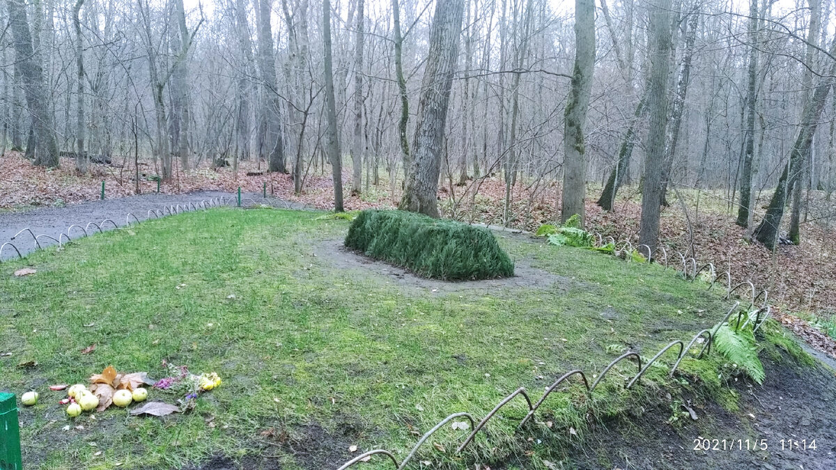 Могила Льва Николаевича. Здесь в детстве Лёва с братьями искали зелёную палочку, которая сделает всех людей муравьиными братьями и подарит мир во всём мире.