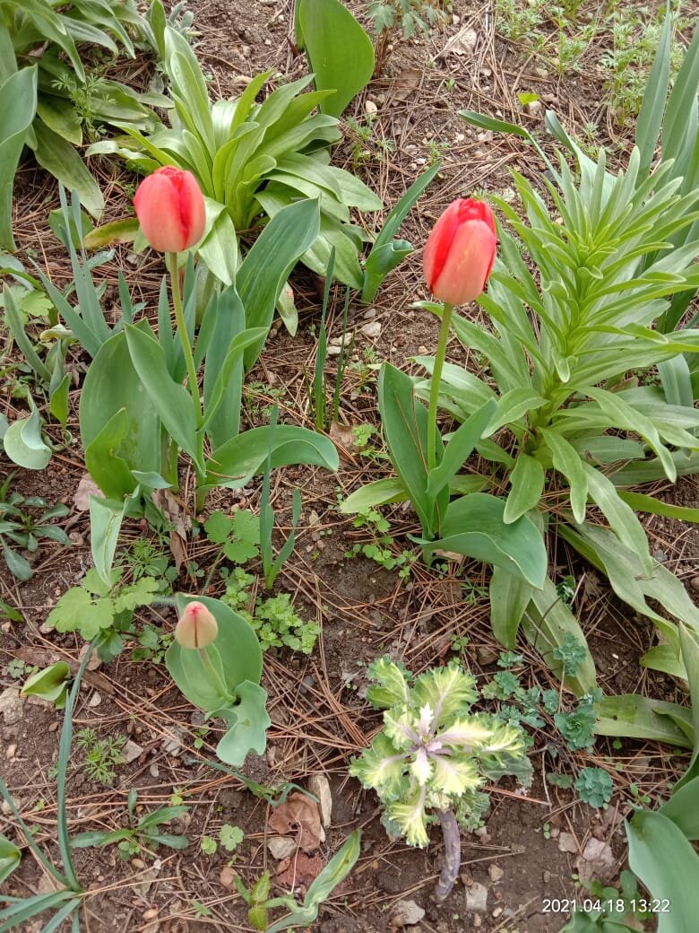 Рядом, но не вместе. Фото автора