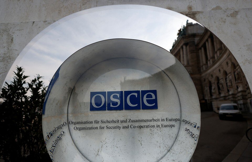     Ирландцы могут покинуть миссию ОБСЕ на Украине  REUTERS