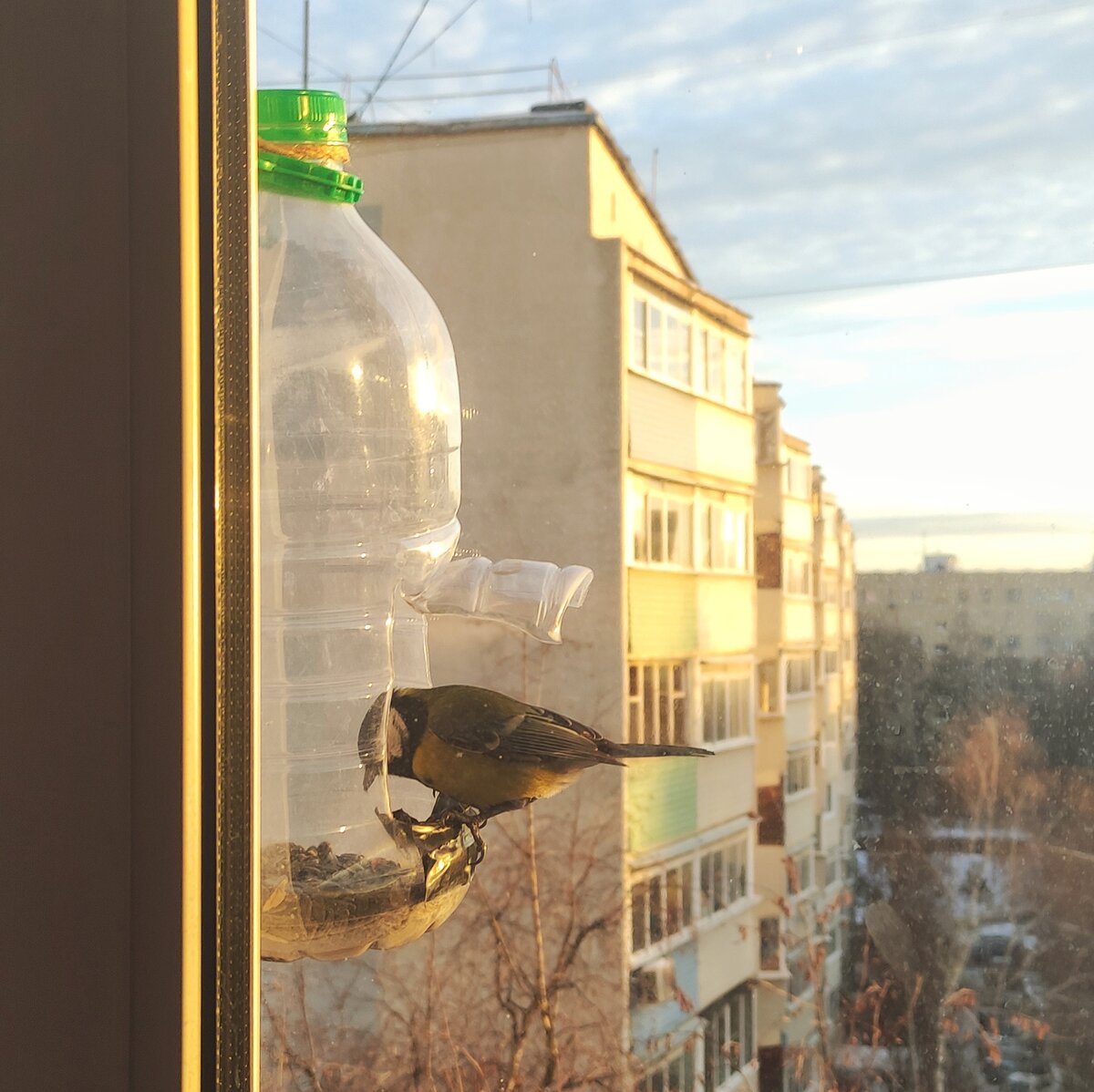 Кормушки для птиц из прозрачного акрилового стекла