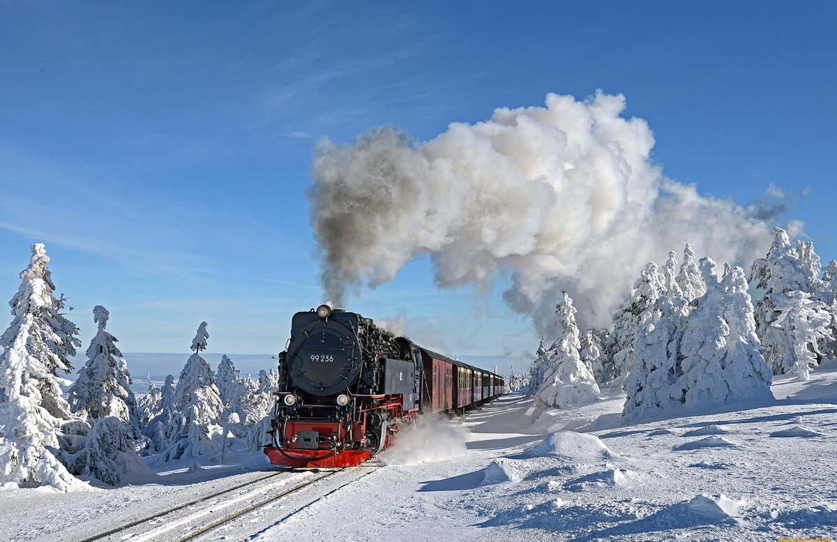 Фото из открытых источников сети Интернет.