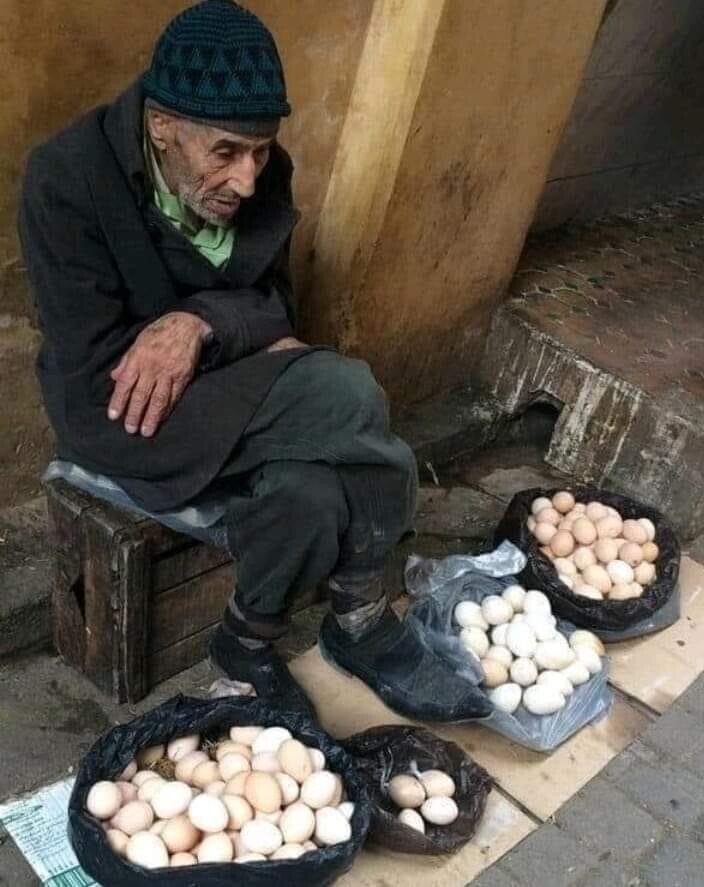 Из свободного источника 