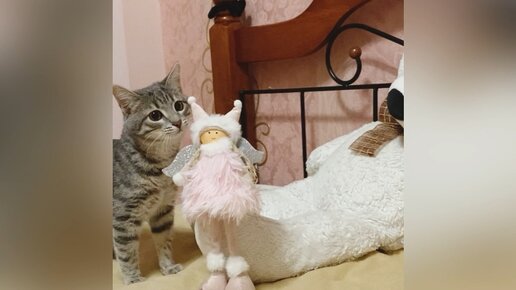 Классные и не дорогие игрушки , только Фрейке эта дамочка не нравится 😼