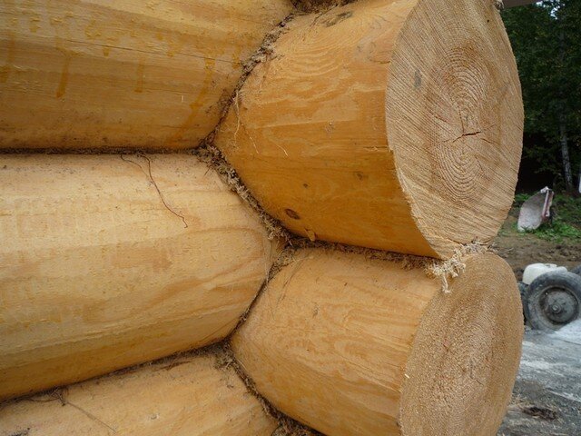 Рубка в чашу