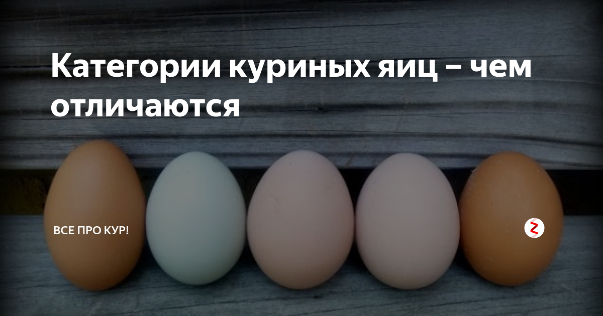 Категории яиц. Сорта яиц куриных. Классификация яиц по категориям куриных. Куриные яйца по сортам.