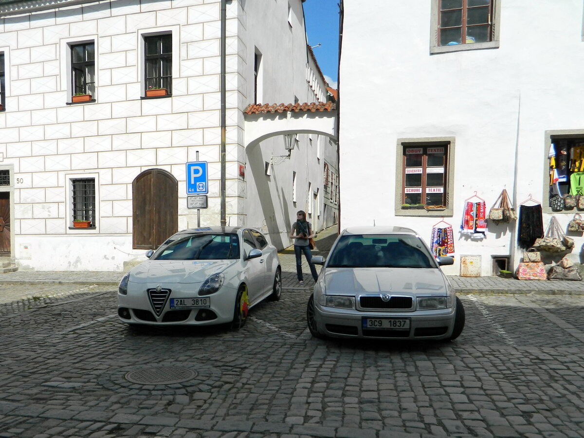 Далеко не всегда оленей эвакуируют. Альфа, несмотря на то, что стоит в проезде, всего лишь обездвижена