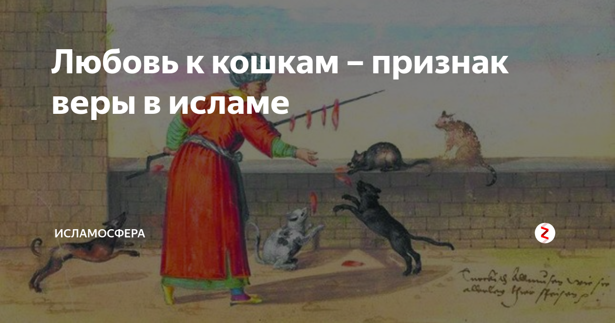 Как звали кошку мухаммеда. Любовь к кошкам в Исламе. Любовь к кошкам признак веры в Исламе. Цитаты про кошек в Исламе. Кошка пророка.