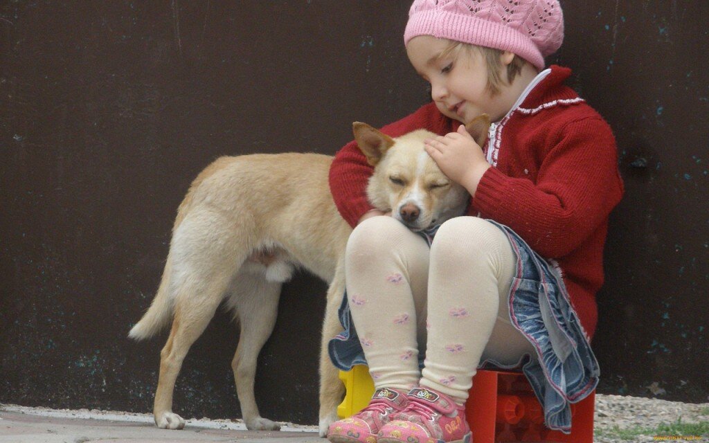 Собаки-няньки: 6 лучших пород для детей | Собакусь | Дзен