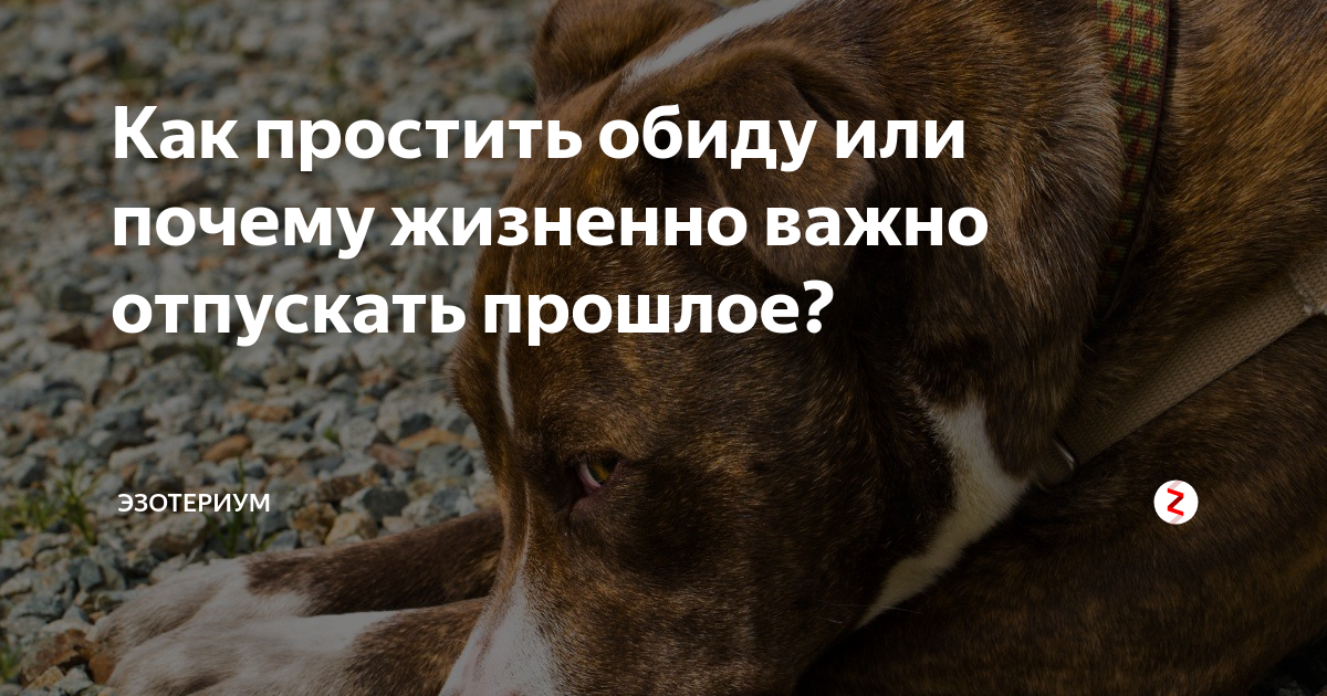 Как простить обиду. Рассказ как я простил обиду. Почему важно прощать обиды. 10 Способов простить обиду.