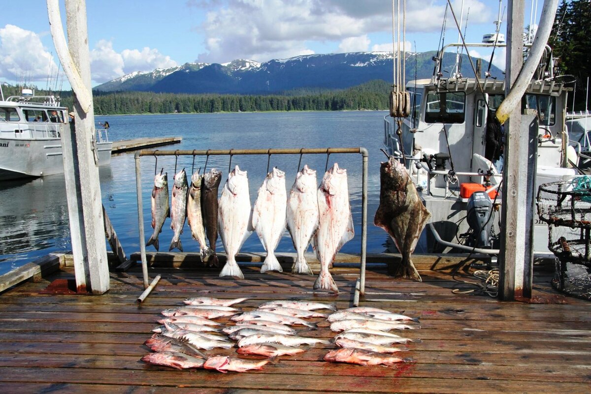Рыболовство на Аляске. Жизнь на Аляске. Аляска промысел рыбы. Аляска железногорск
