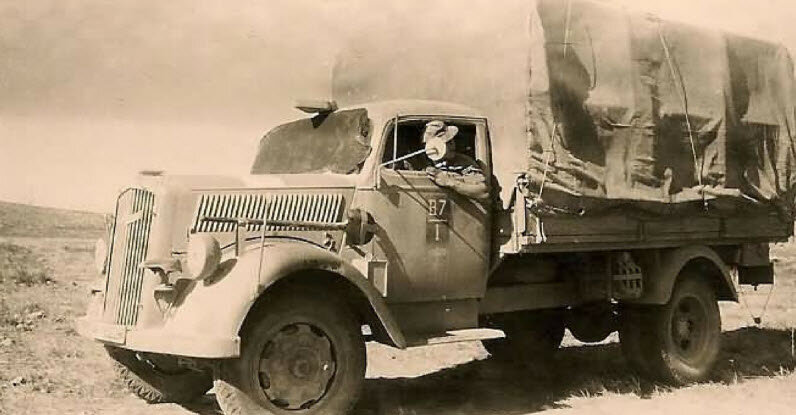 Выступая в качестве основы моторизованного корпуса Вермахта и Ваффен СС, грузовик Opel Blitz участвовал в перевозке практически всего во время Второй мировой войны - от солдат до боеприпасов, от...