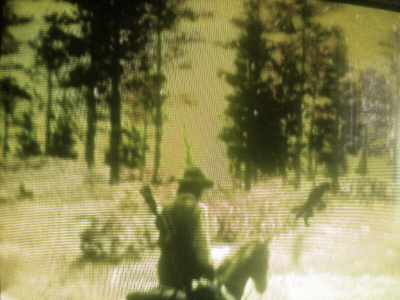 Фотографии "оборотня"