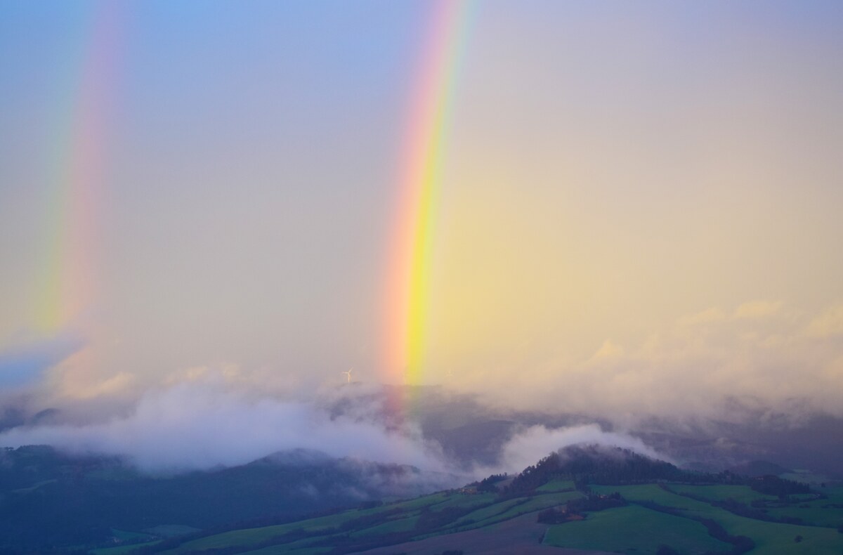 Photo by Chris Barbalis on Unsplash
