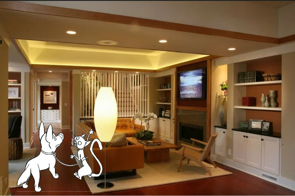 Ну и как тут побегать бедным животным?