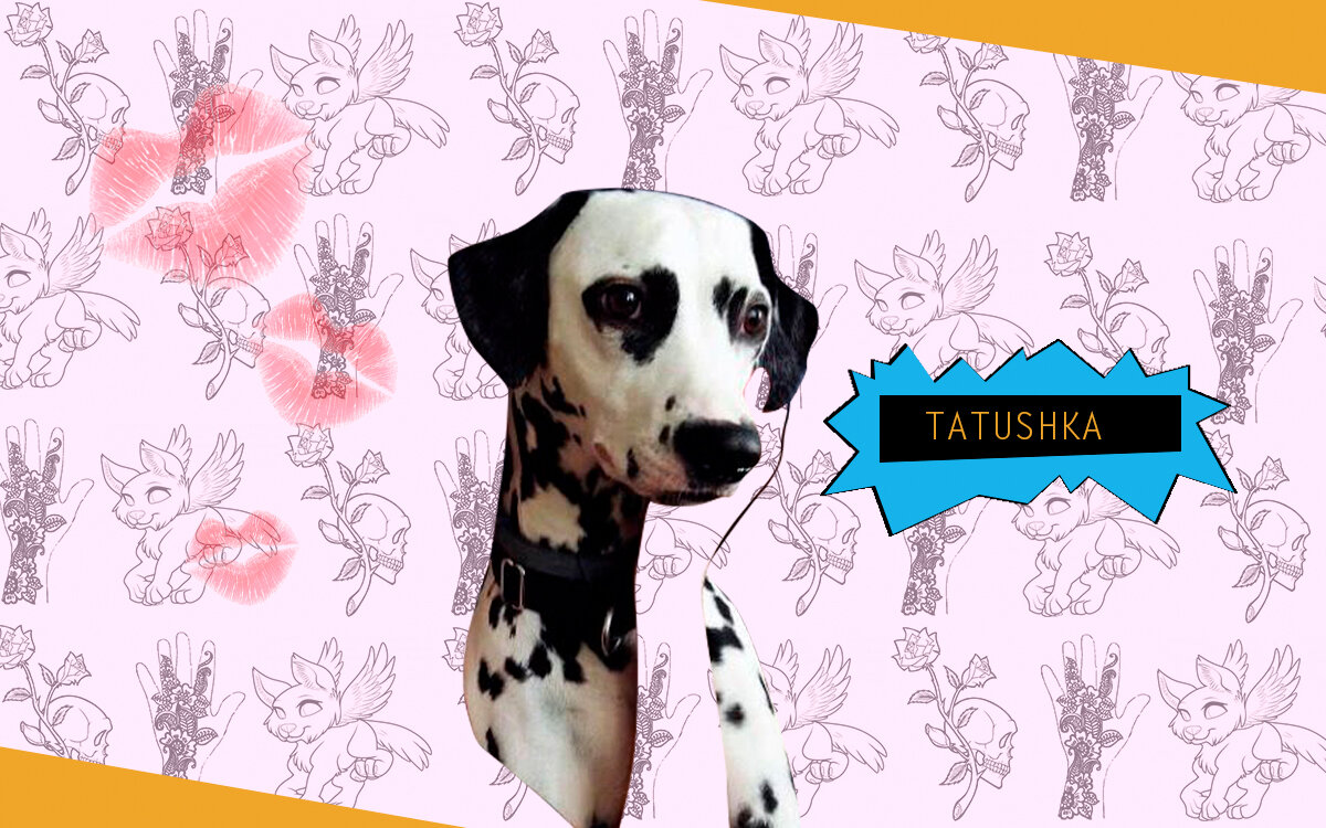 оригиналы фото собак из "Тысяча чертей, какая татуировка" в ВК