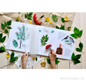 Составляем гербарий