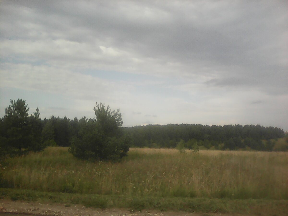 Фото из собственных альбомов. Местные красоты. Простор.