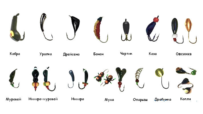 На что ловить окуня и плотву