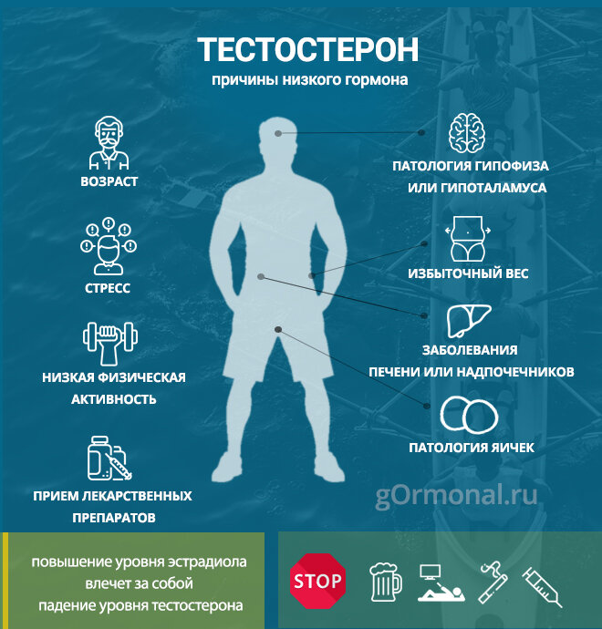 Как повысить тестостерон у мужчин естественными способами?