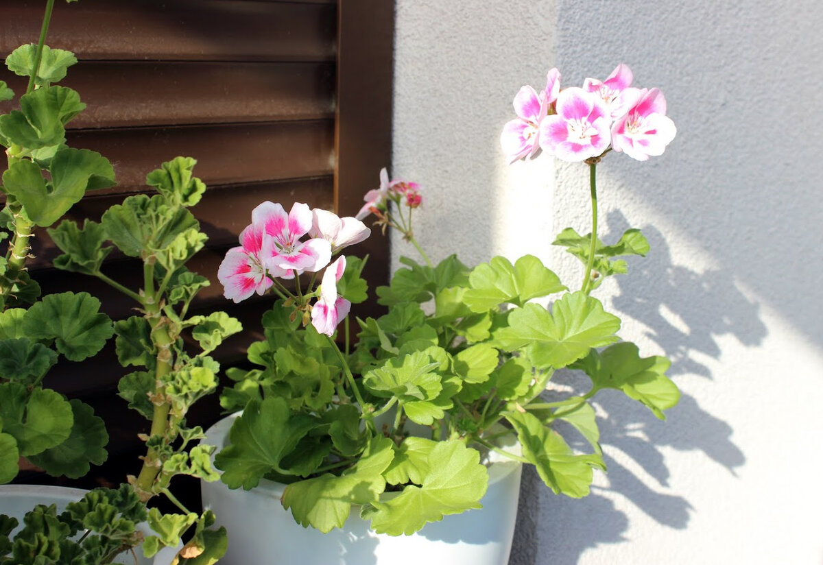 Февраль 2019 года. К выезду на воздух почти готовы :)