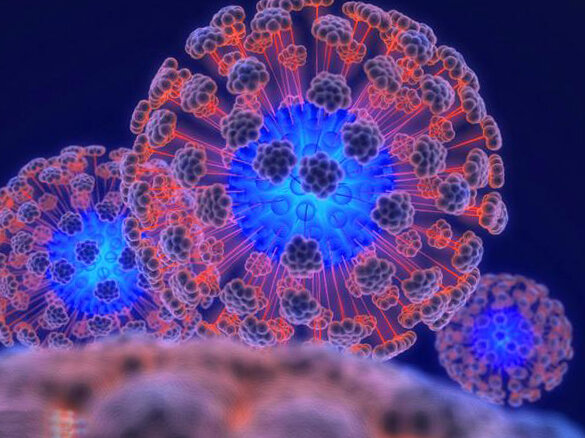 Вирус иммунодефицита человека