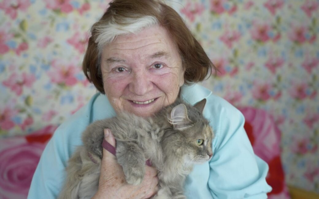 Летом в домике слишком жарко для котов. А для людей — в самый раз. Фото: Артем Гурьев