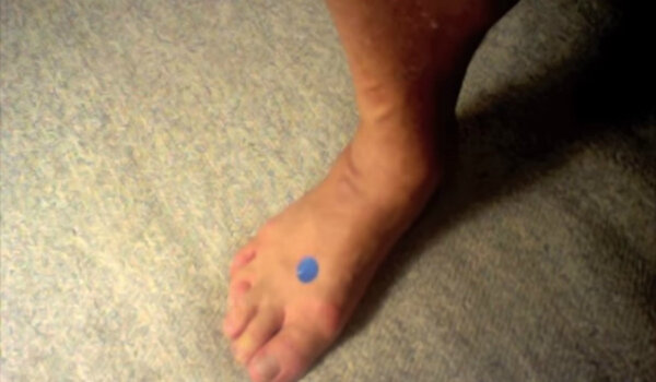 Источник: https://www.google.ru/imgres