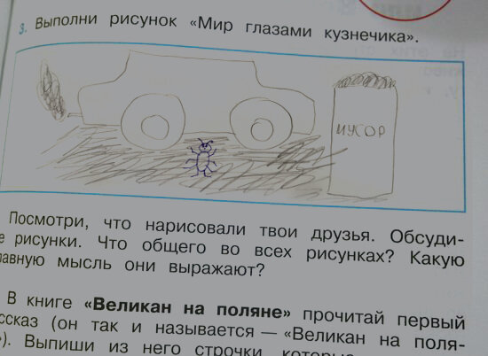 Мир глазами кузнечика рисунок