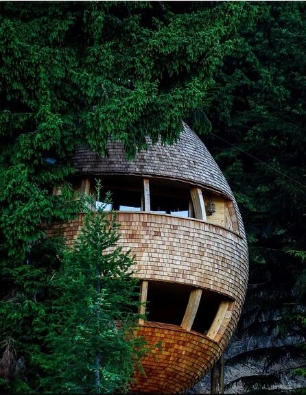 Изображение взято из свободного доступа в Интернете