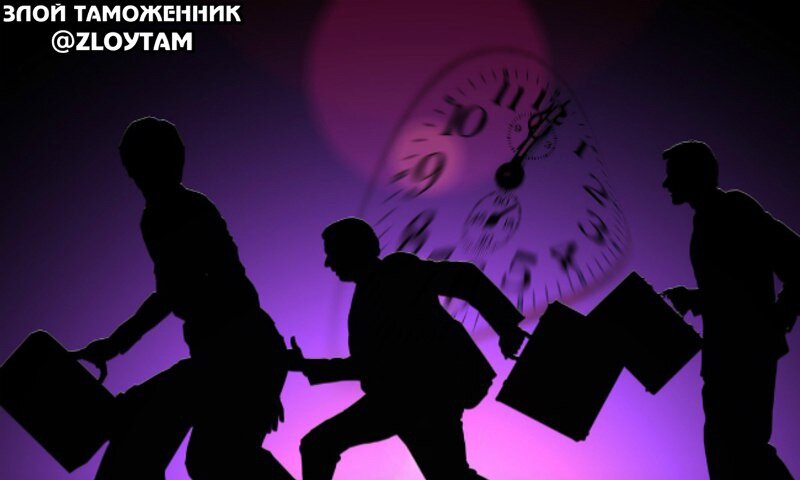 Какая такая ещё фирма? 