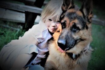 Фото взято из интернета.