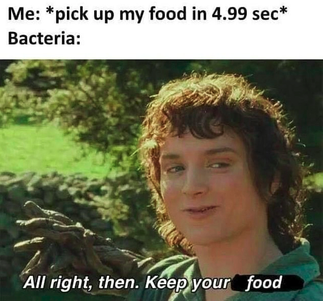 Подобрал еду через 4.99 секунды - *Взгляд бактерии....*, "Ок, держи свою пищу*