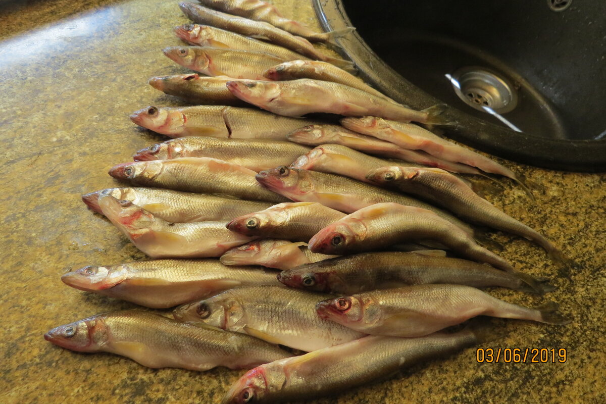 25 рыбок - 1200г.Фото автора