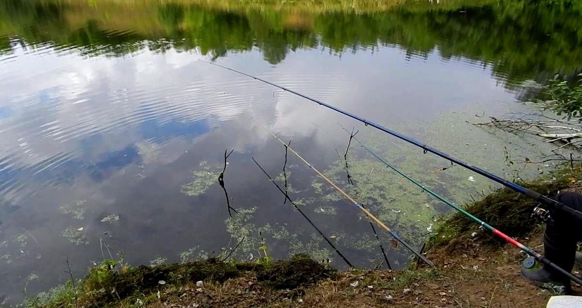 Можно ли сейчас ловить на удочку