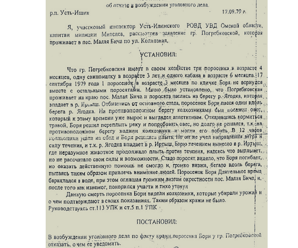 Про поросенка борю. Протокол про поросенка Борю. Протокол участкового про поросенка. Рапорт участкового про поросенка.