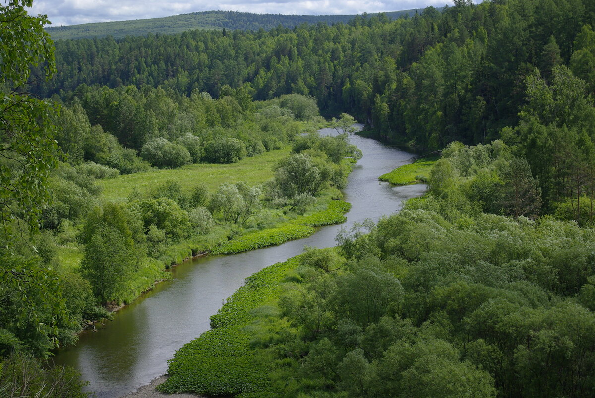 Лучший парк для отдыха рядом с Екатеринбургом - Оленьи ручьи | Travelblog |  Дзен