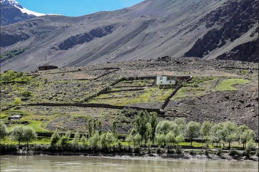 из откытых источников...