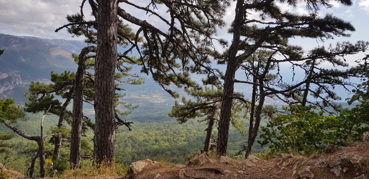 Обзорная площадка на пути к вершине