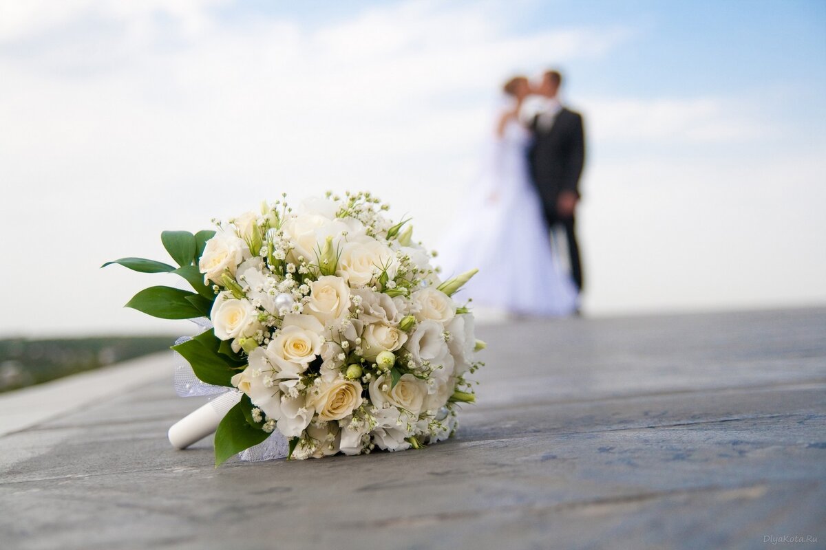 Свадебный переполох: во сколько обойдется свадьба в Ташкенте по новым правилам? (инфографика)