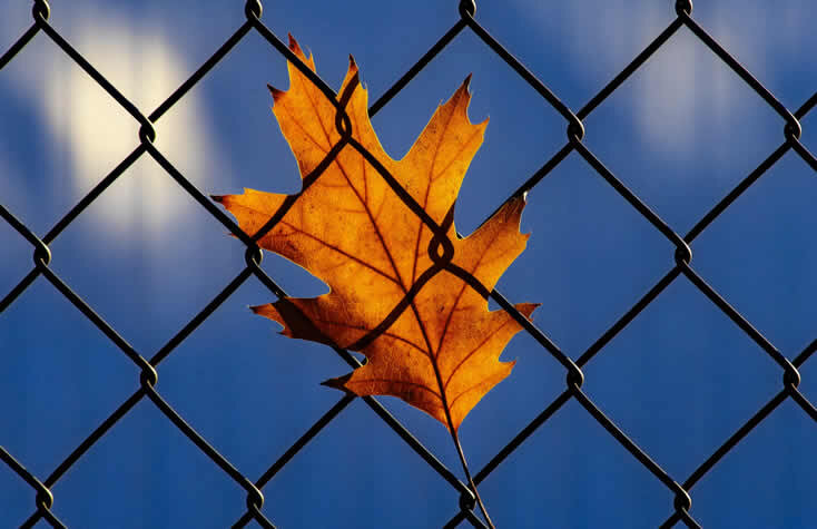 Иллюстрация: @Brett Sayles/Pexels