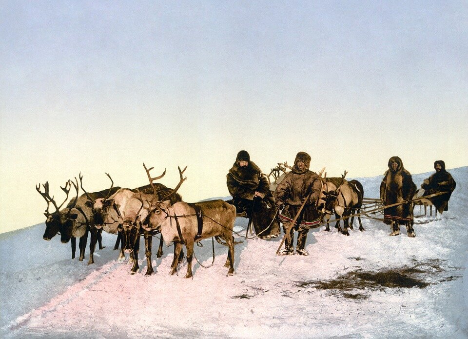 https://cdn.pixabay.com/photo/2012/10/10/11/10/reindeer-60619_960_720.jpg