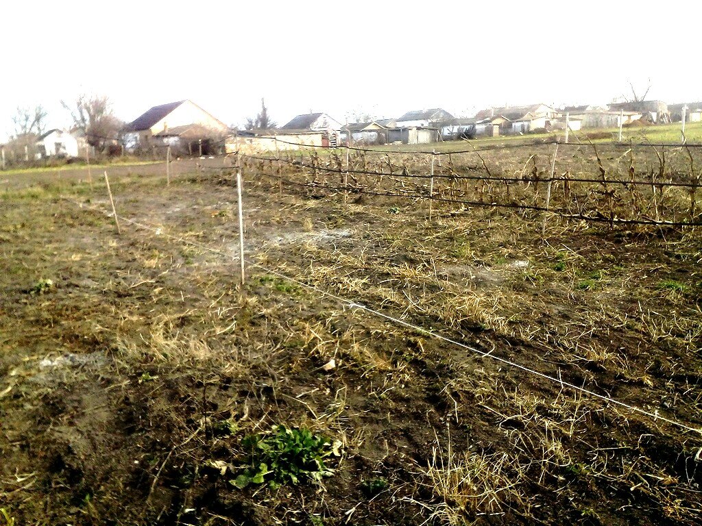 Первый ряд. Личное фото автора